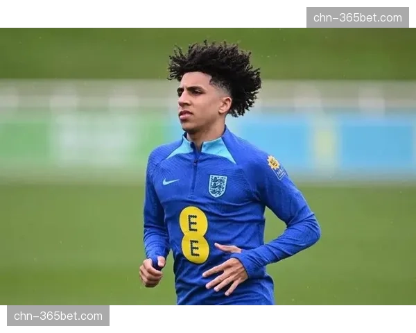 英格兰队公布三月大名单，多位青年才俊首次入选